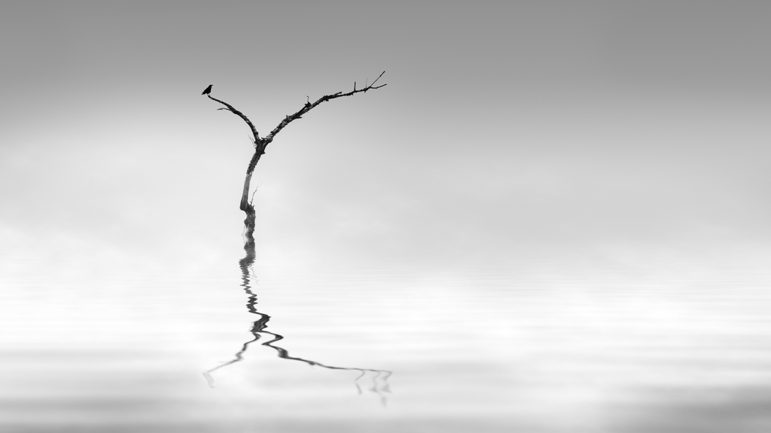 Meditatio mystica
