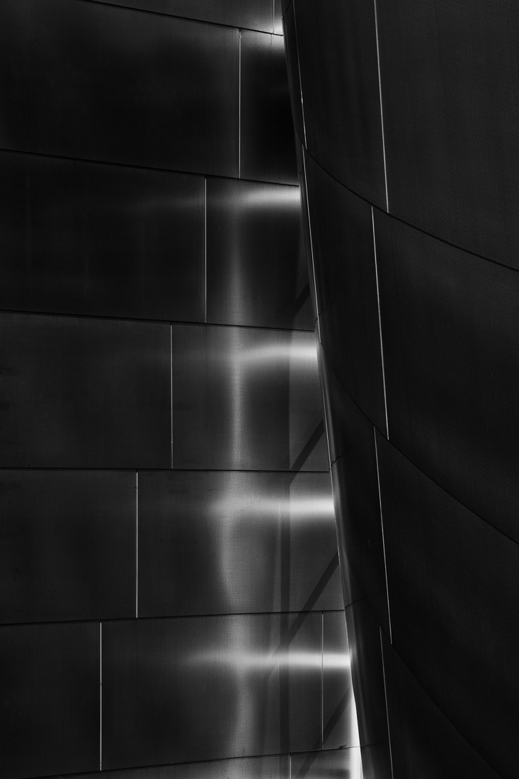 Walt Disney Concert Hall - Los Angeles