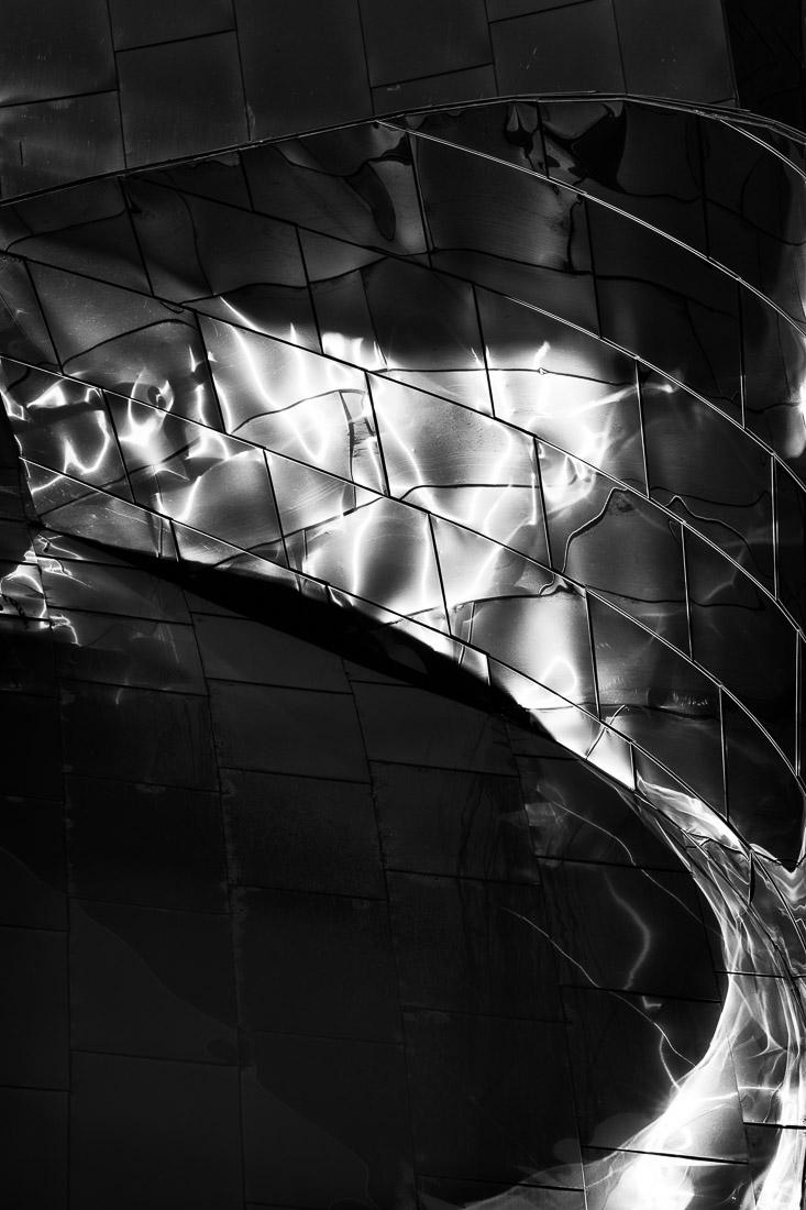 Walt Disney Concert Hall - Los Angeles