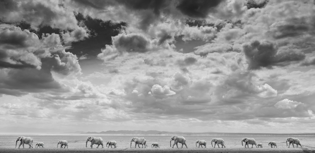 Under the Great African Sky