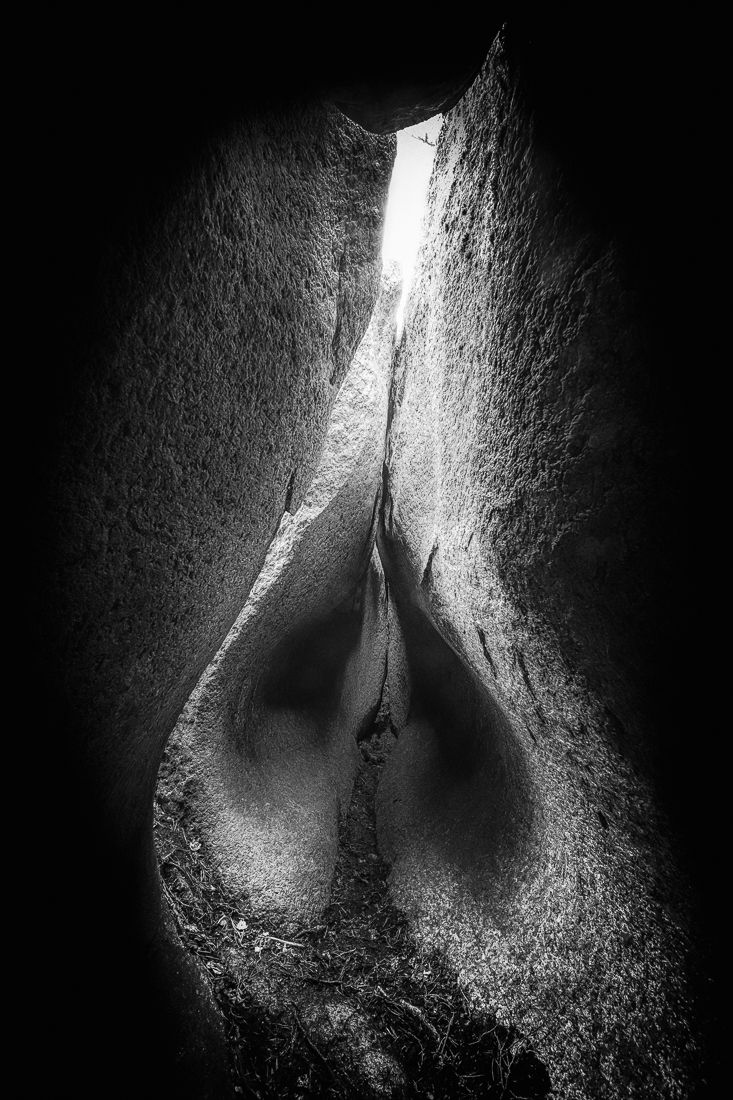 Womb