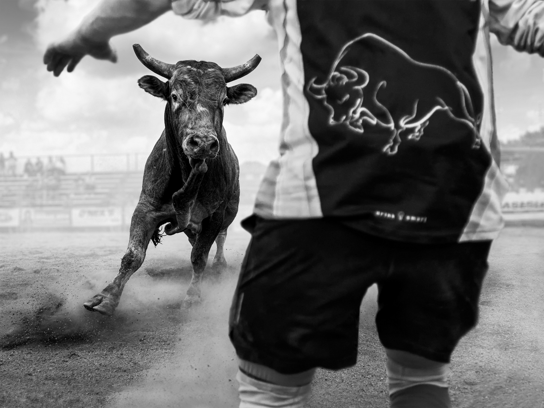 Bull Riding