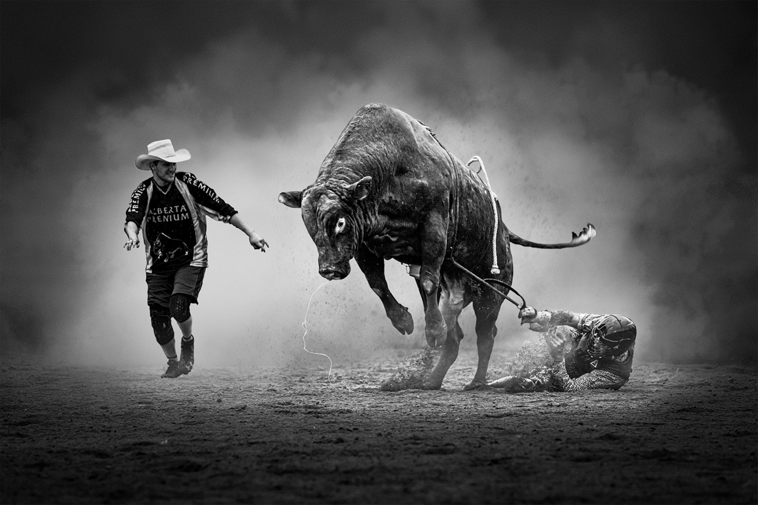 Bull Riding