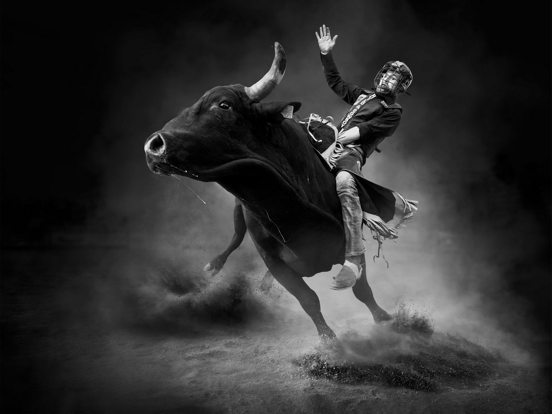 Bull Riding