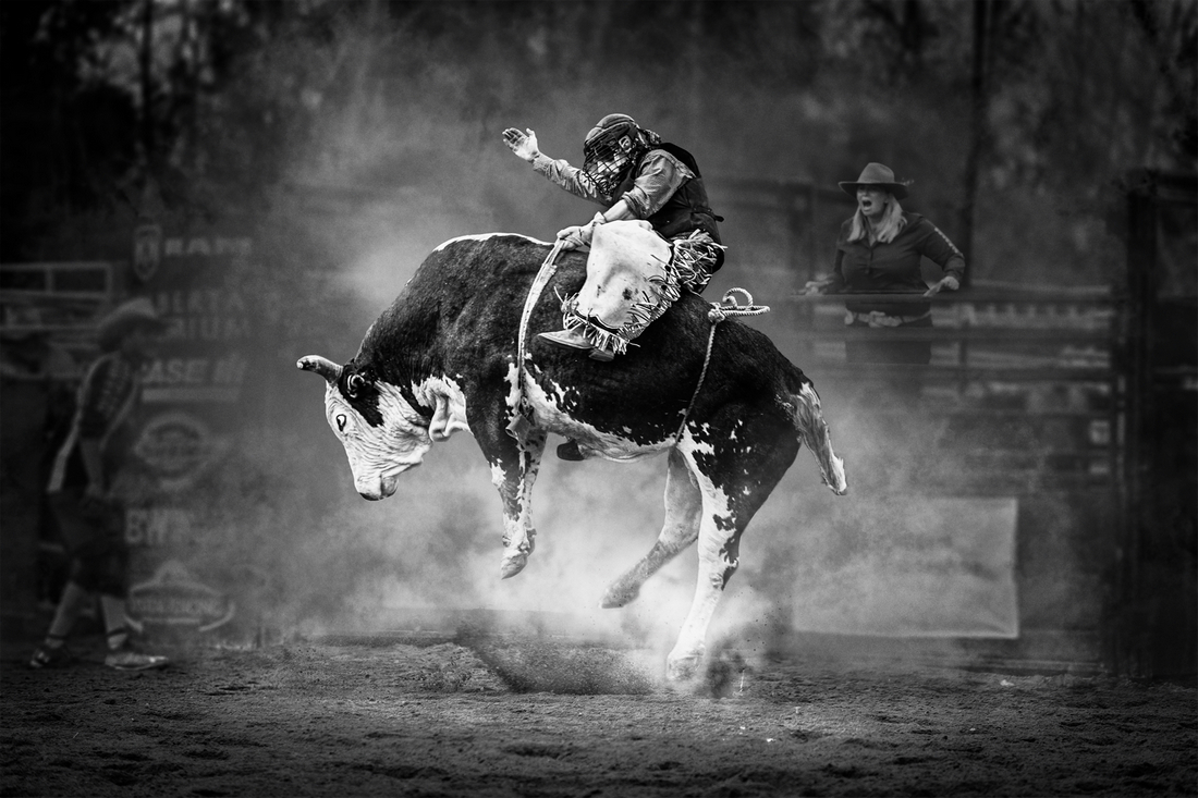 Bull Riding