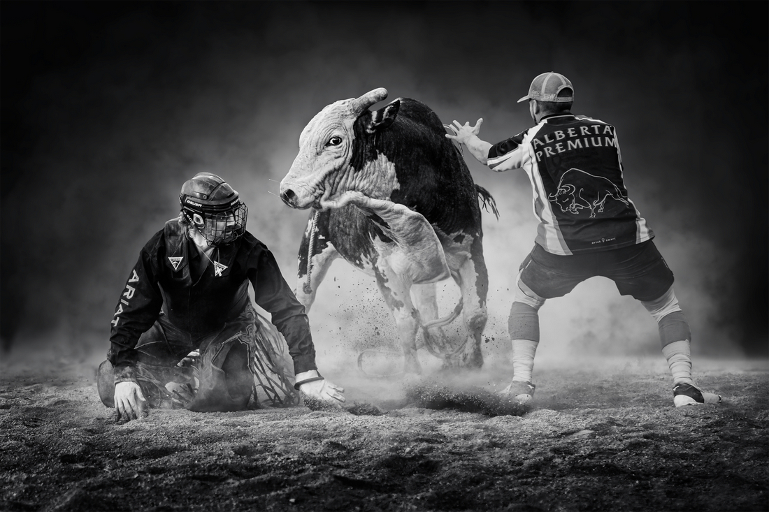 Bull Riding