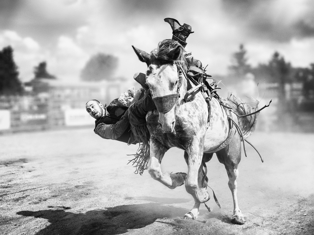 Rodeo on Horseback