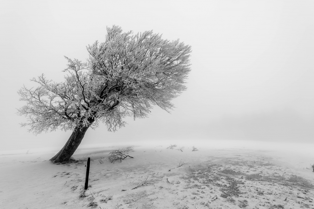 Silence