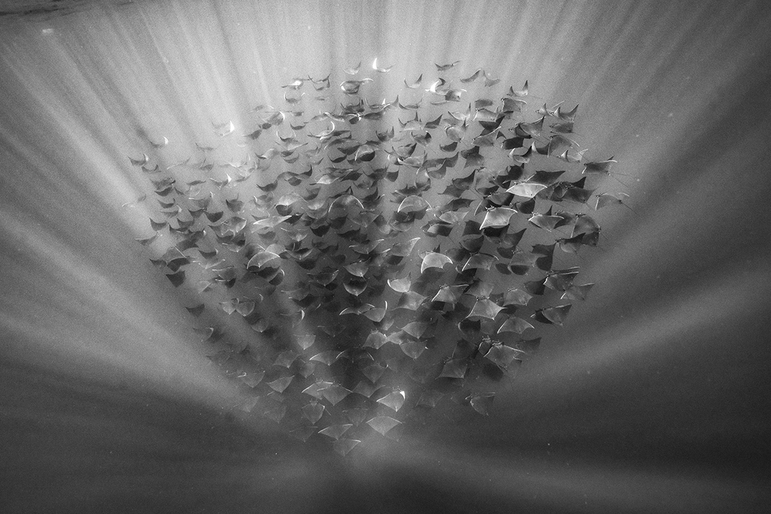 Flying underwater
