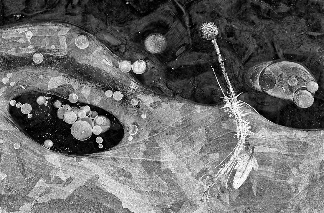 Signs of life