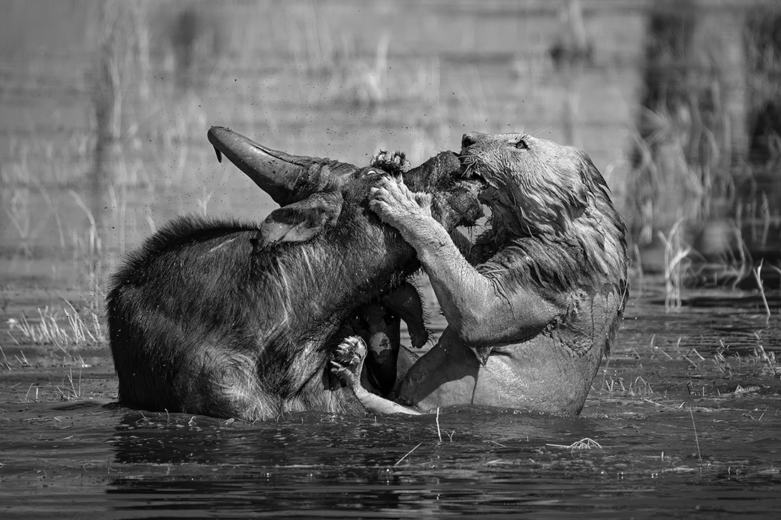 Clash of the titans