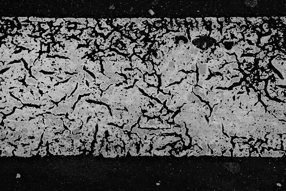 Leaves of Paris
