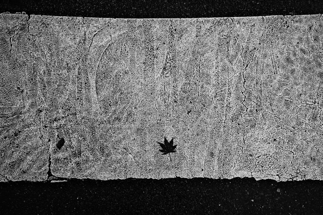 Leaves of Paris