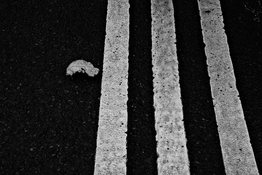 Leaves of Paris