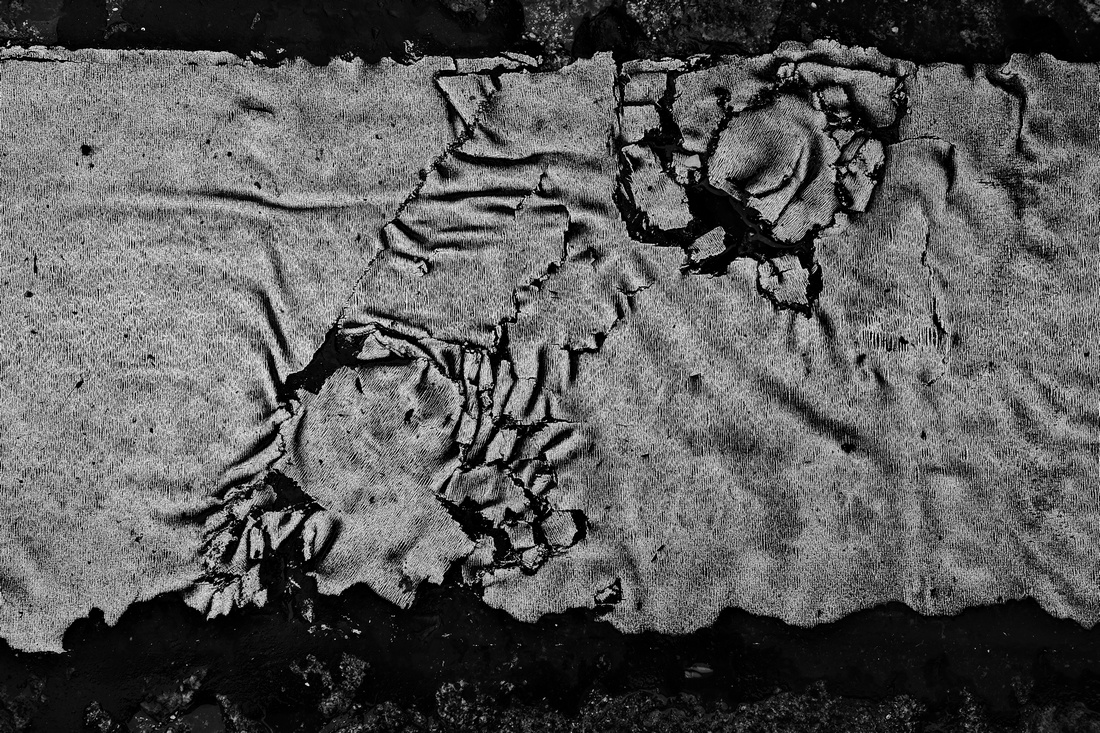 Leaves of Paris