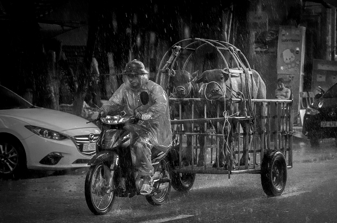 rain