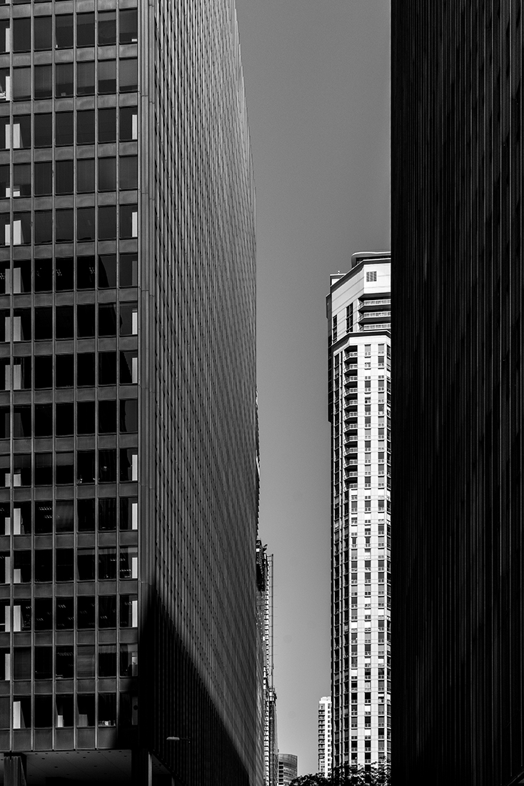 Chicago Black & White