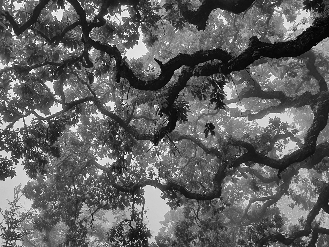 SINTRA_3