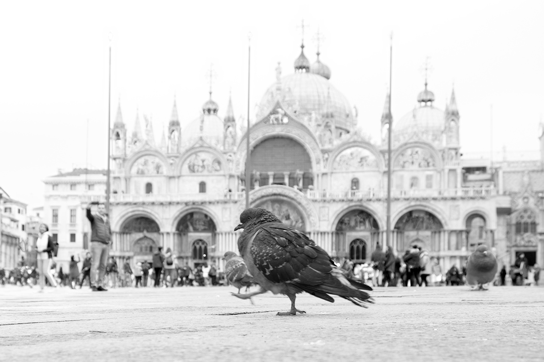 visiting Venice