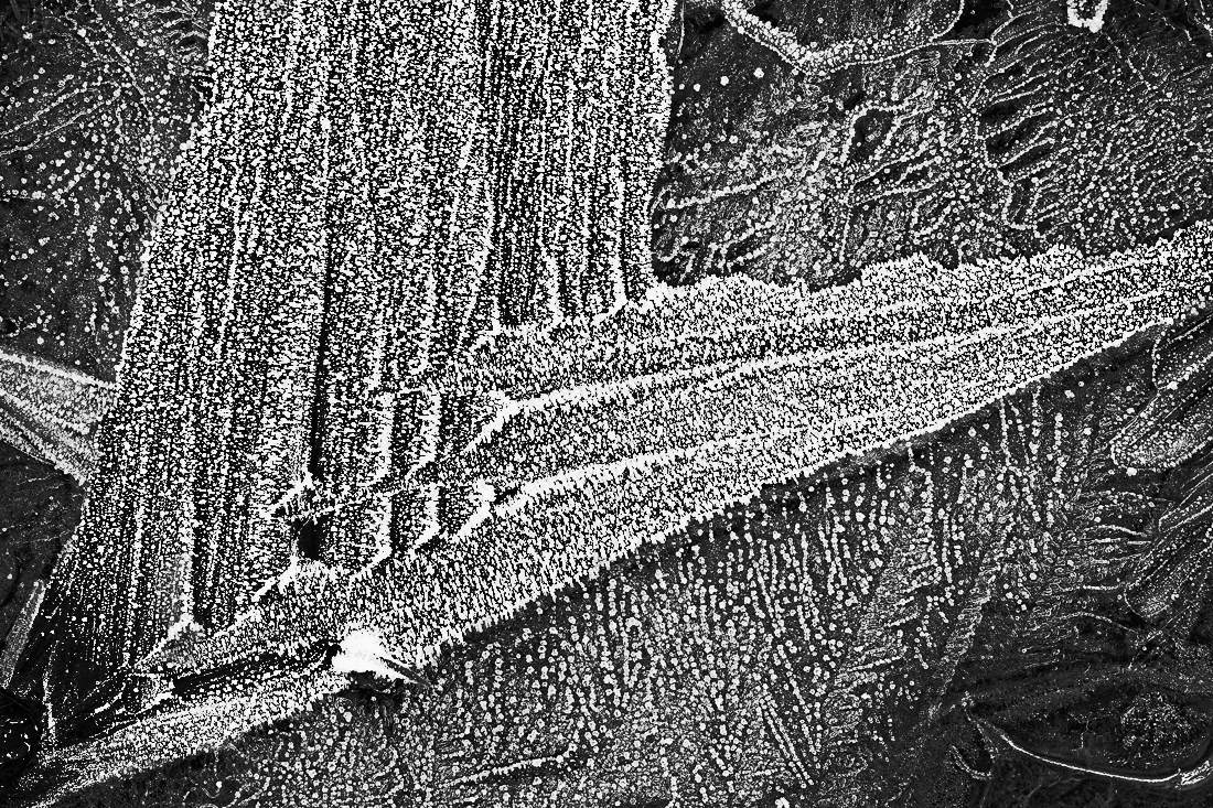 Ice Structures