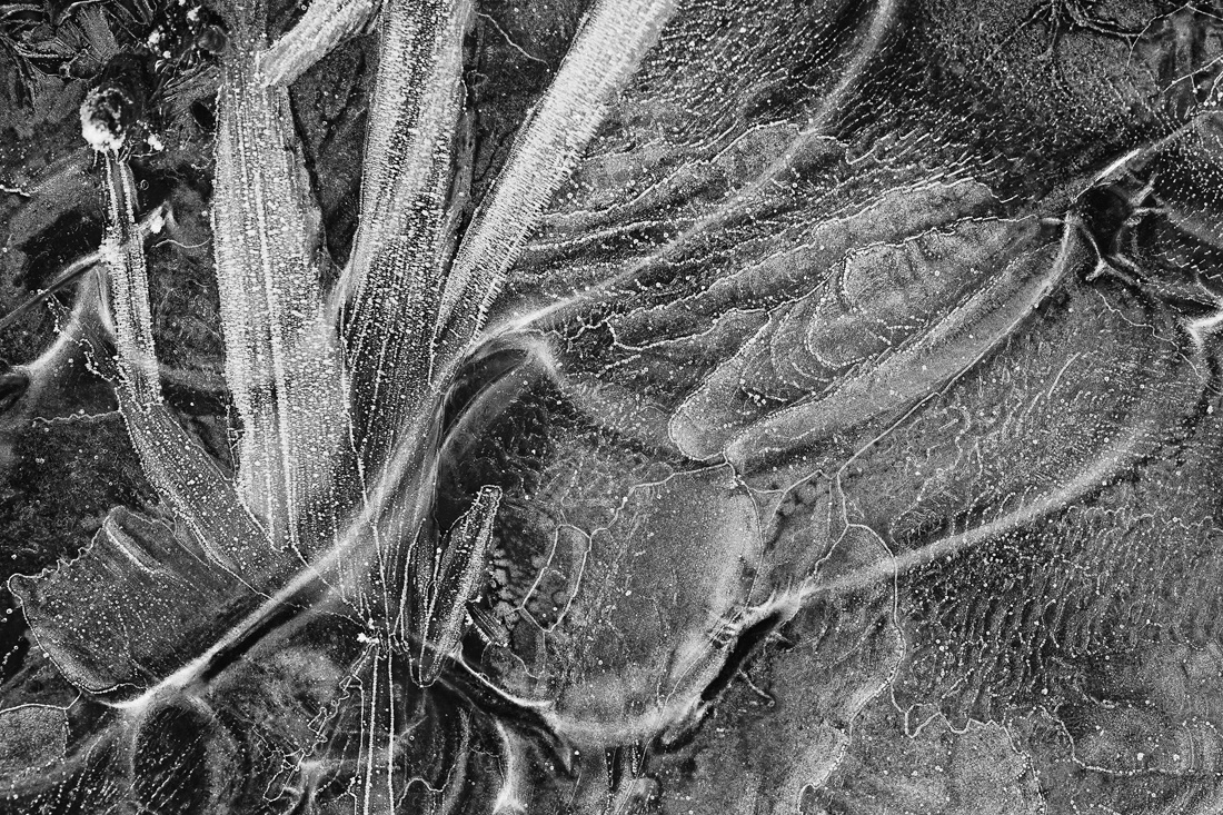 Ice Structures