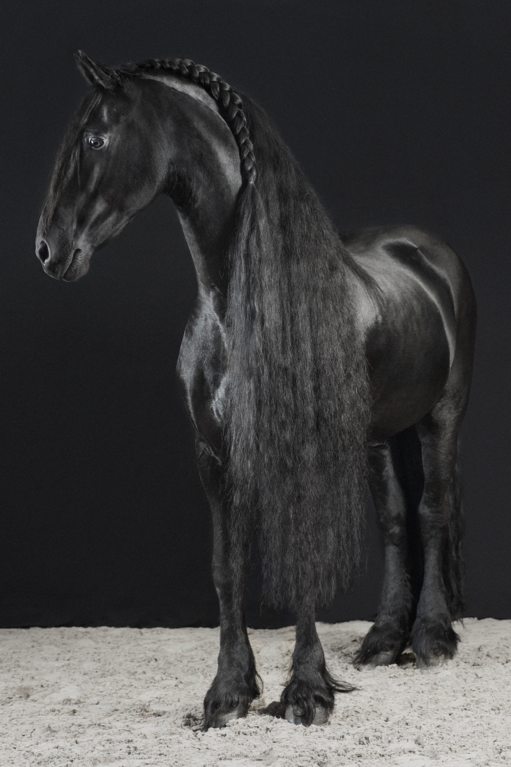 Beautiful Black