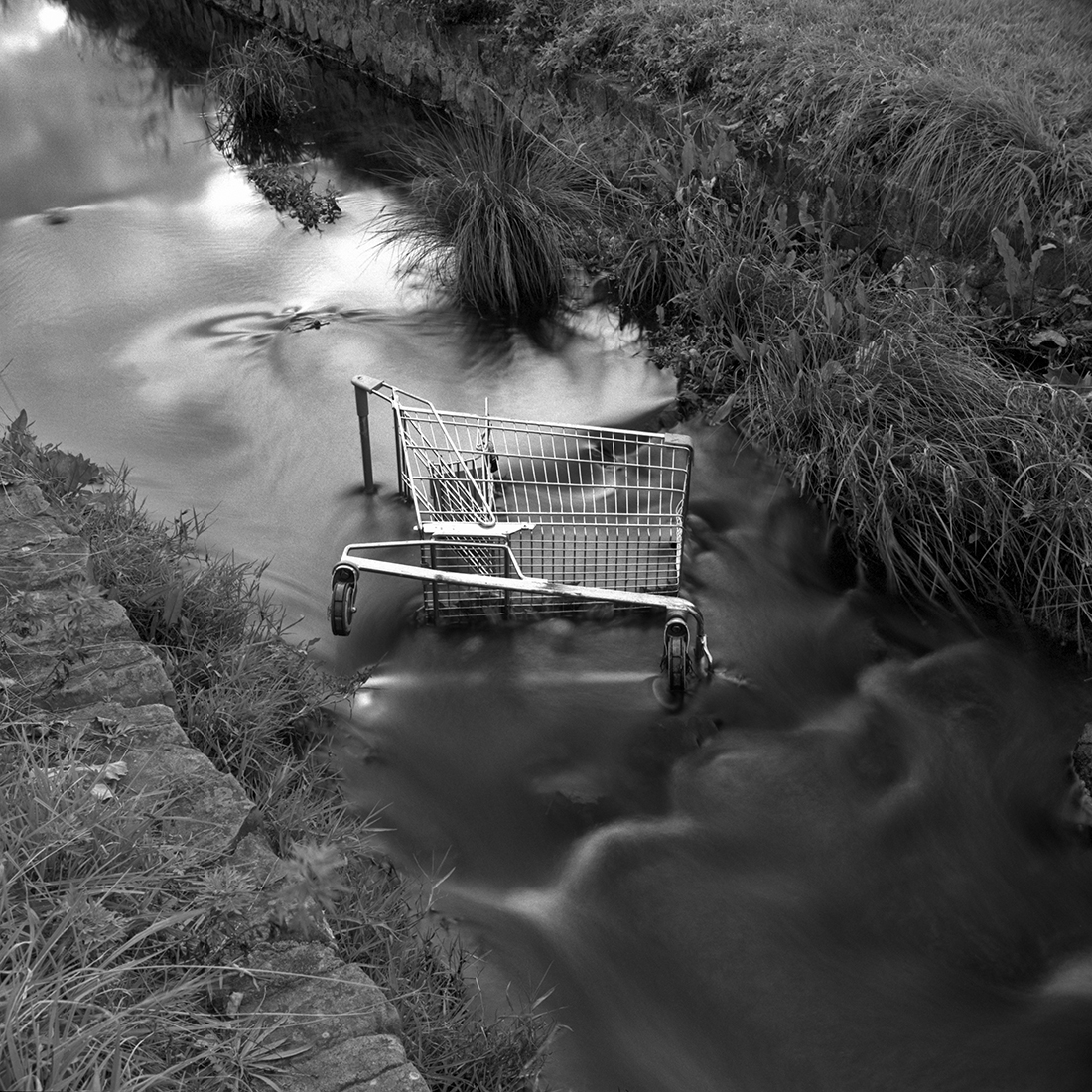 Trolley, Armidale 2022