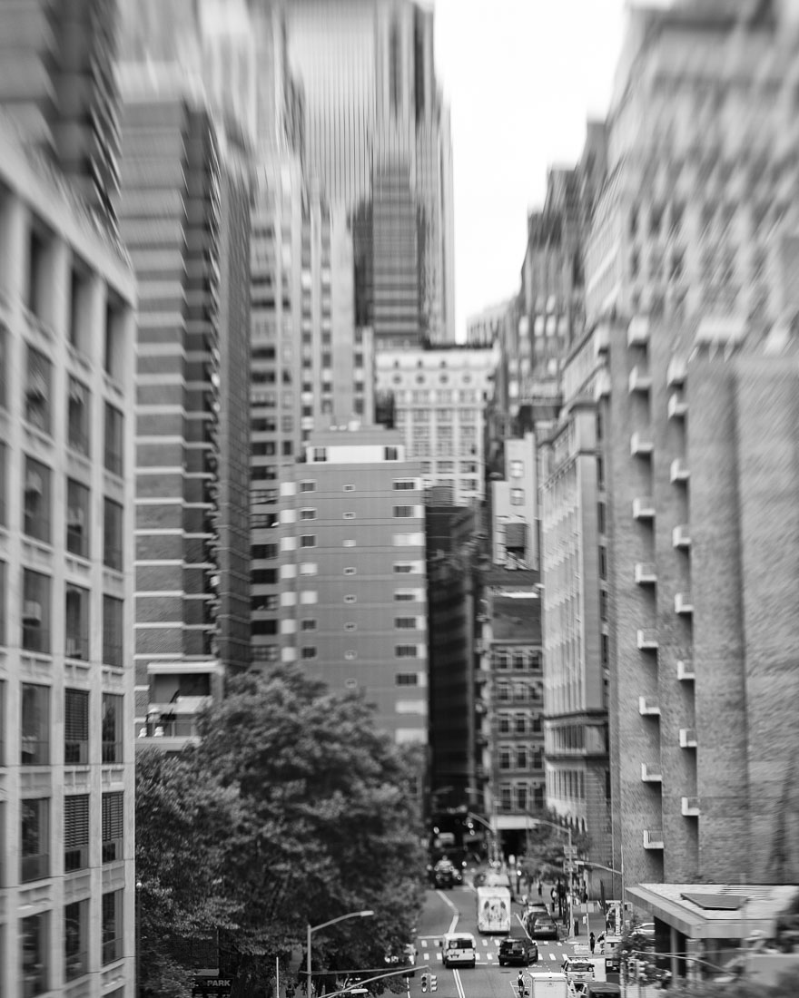 My own New York