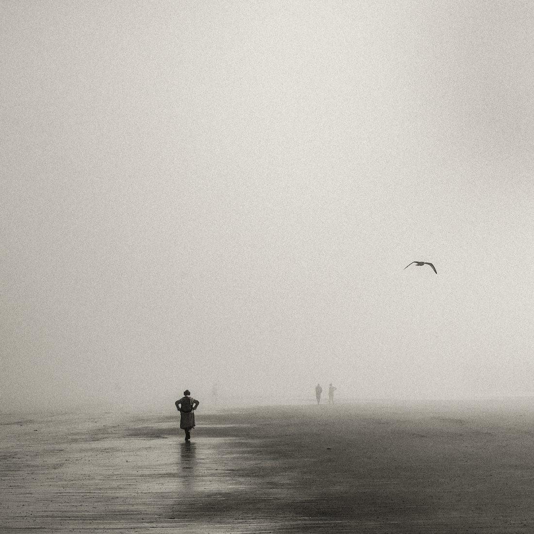 Mist(s)