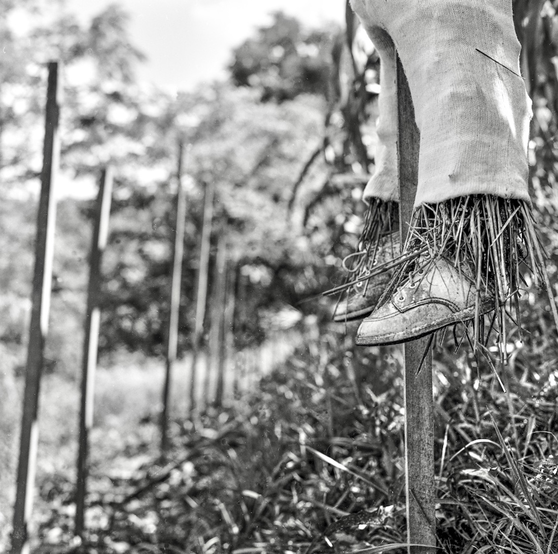 Appalachian Scarecrows