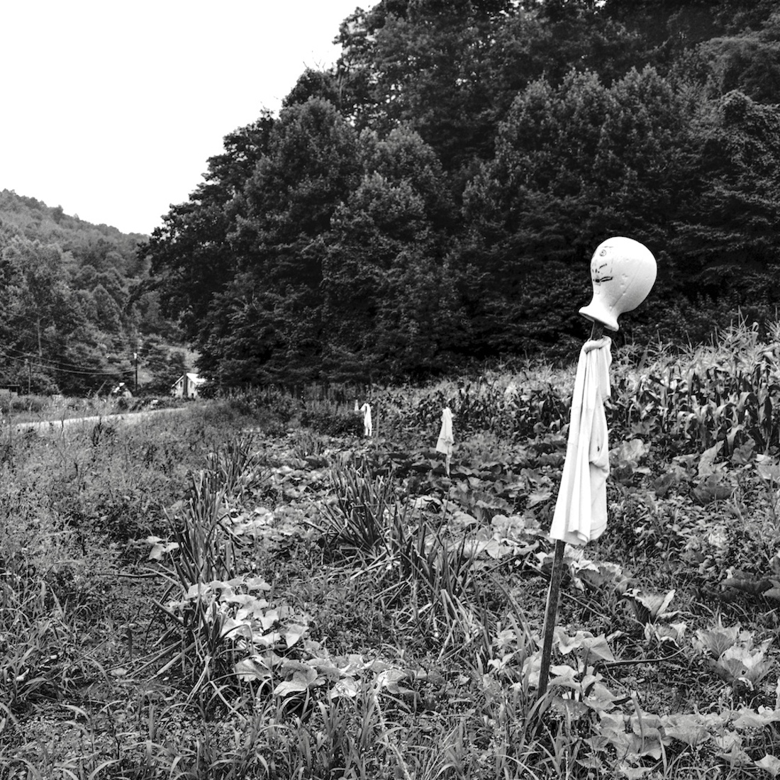Appalachian Scarecrows