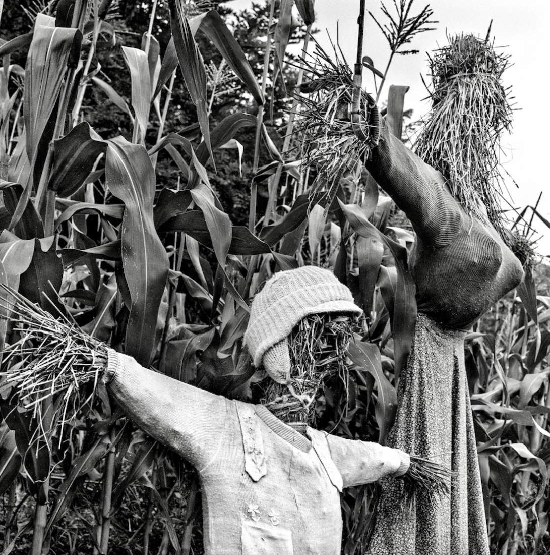 Appalachian Scarecrows