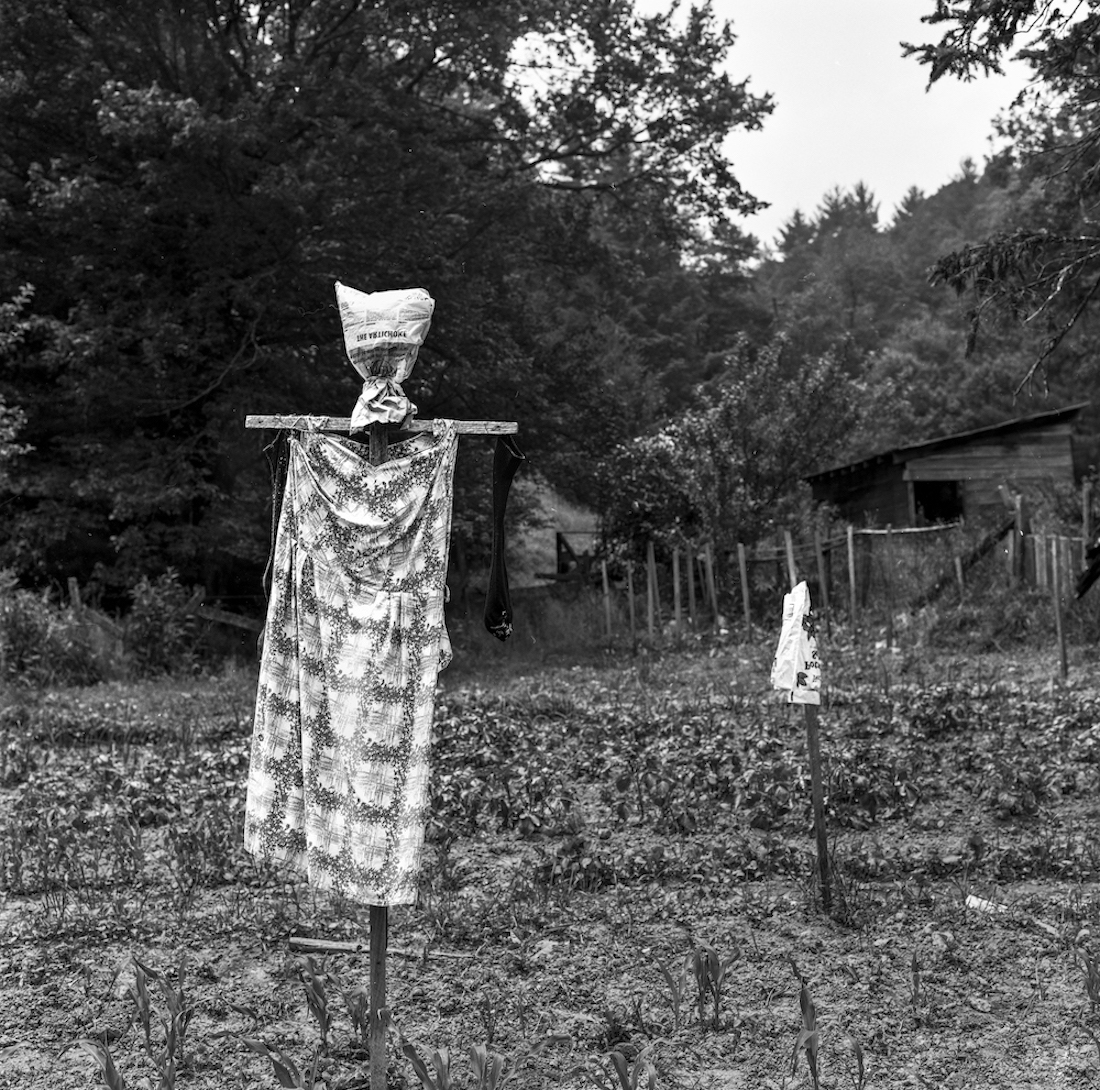 Appalachian Scarecrows