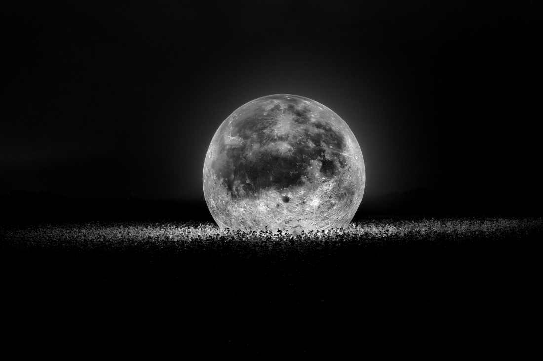 Moon Landing