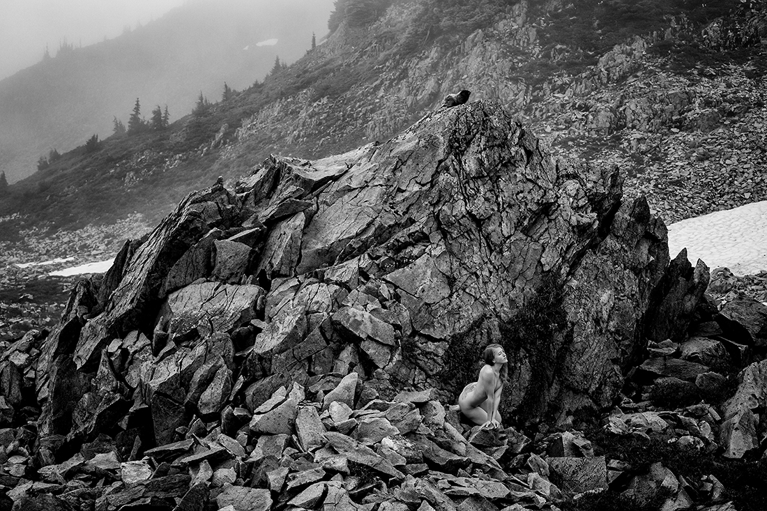Tatoosh Dreams