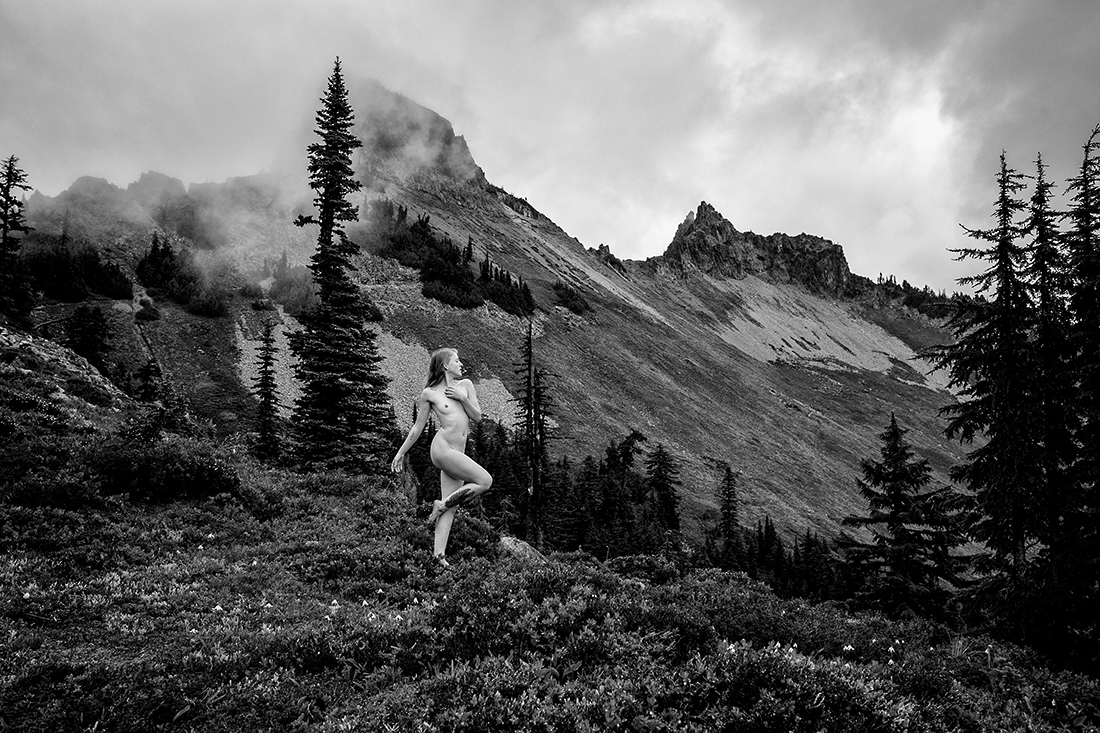 Tatoosh Dreams