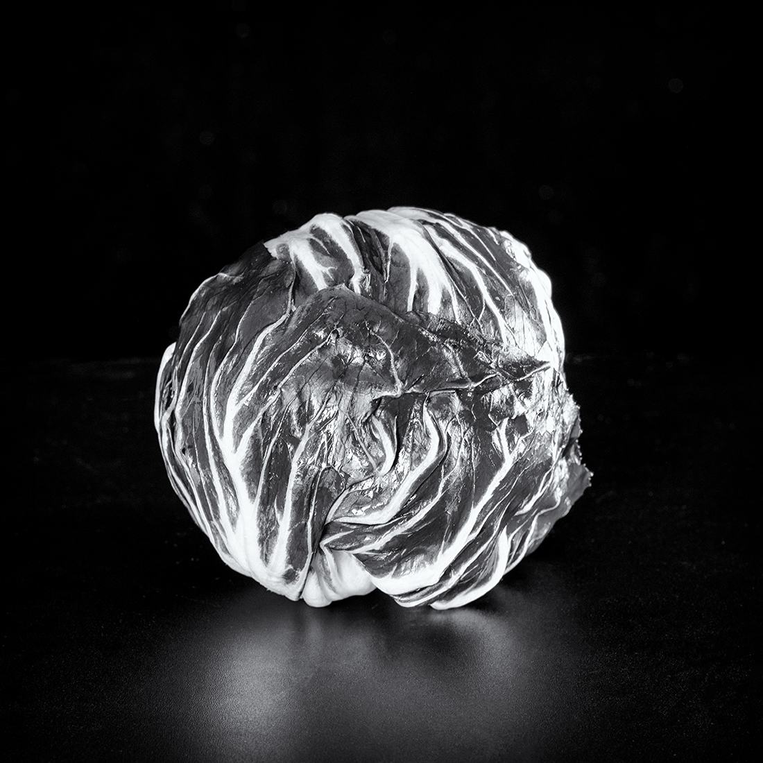 Portrait of Red Cabbage