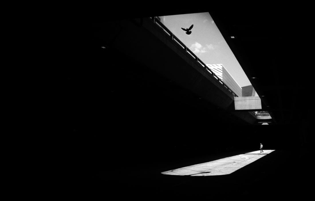 The Jaws of Light 