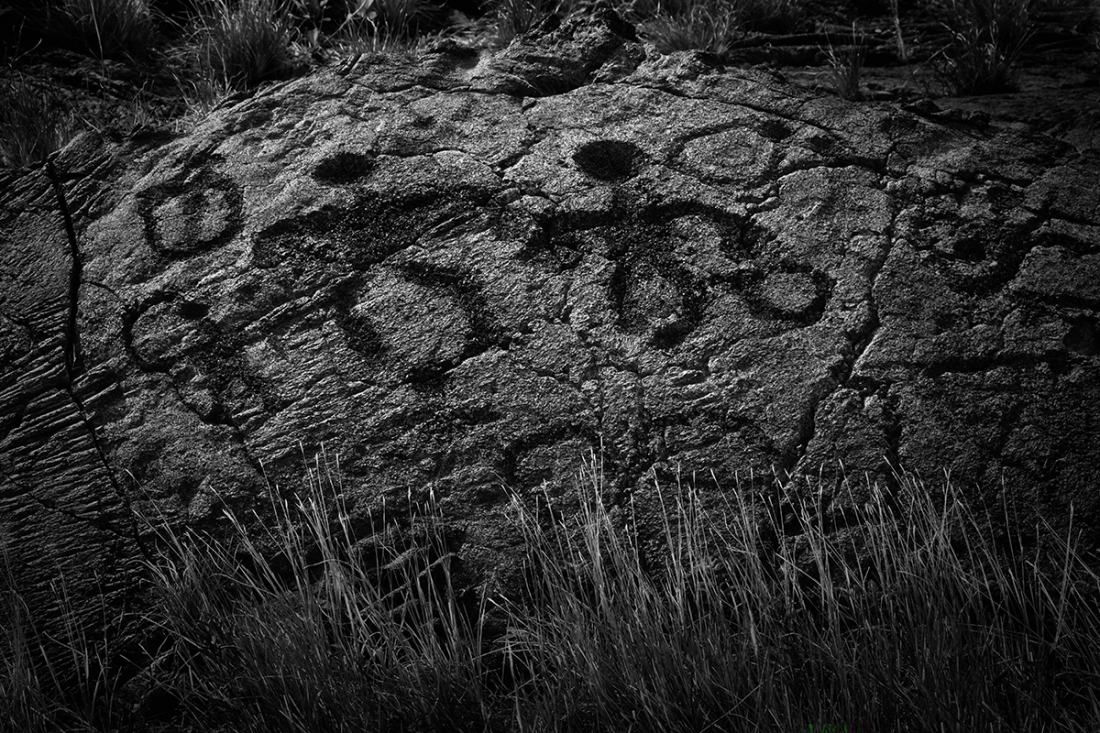 Hawain Petroglyphs 