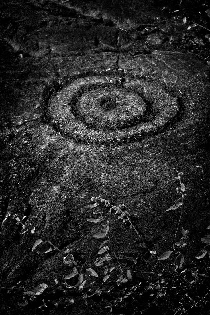 Hawain Petroglyphs 