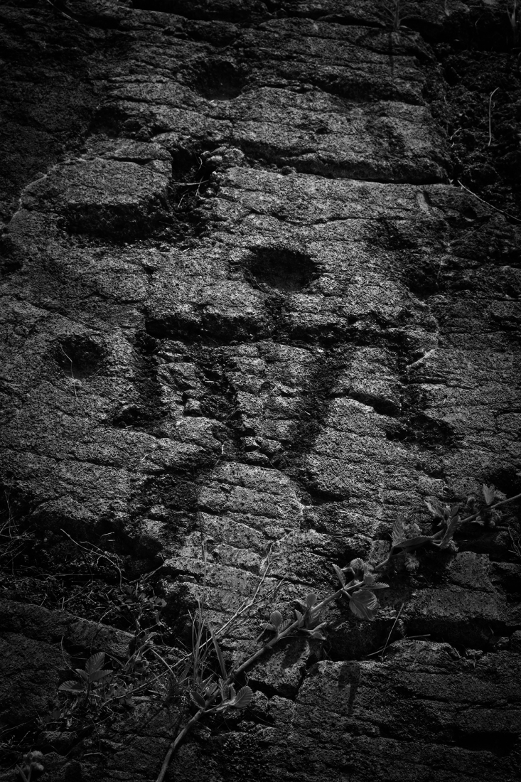 Hawain Petroglyphs 