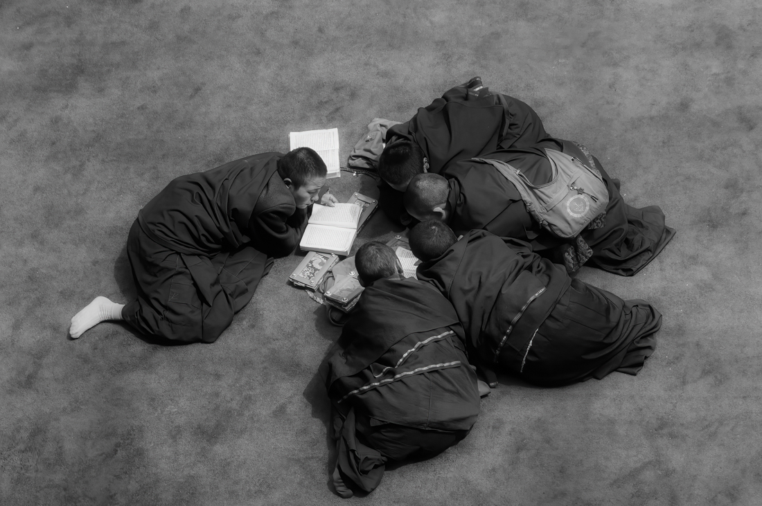 Nuns on the Tibetan grassland