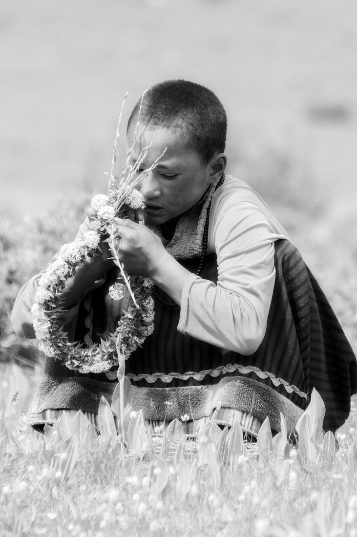 Nuns on the Tibetan grassland