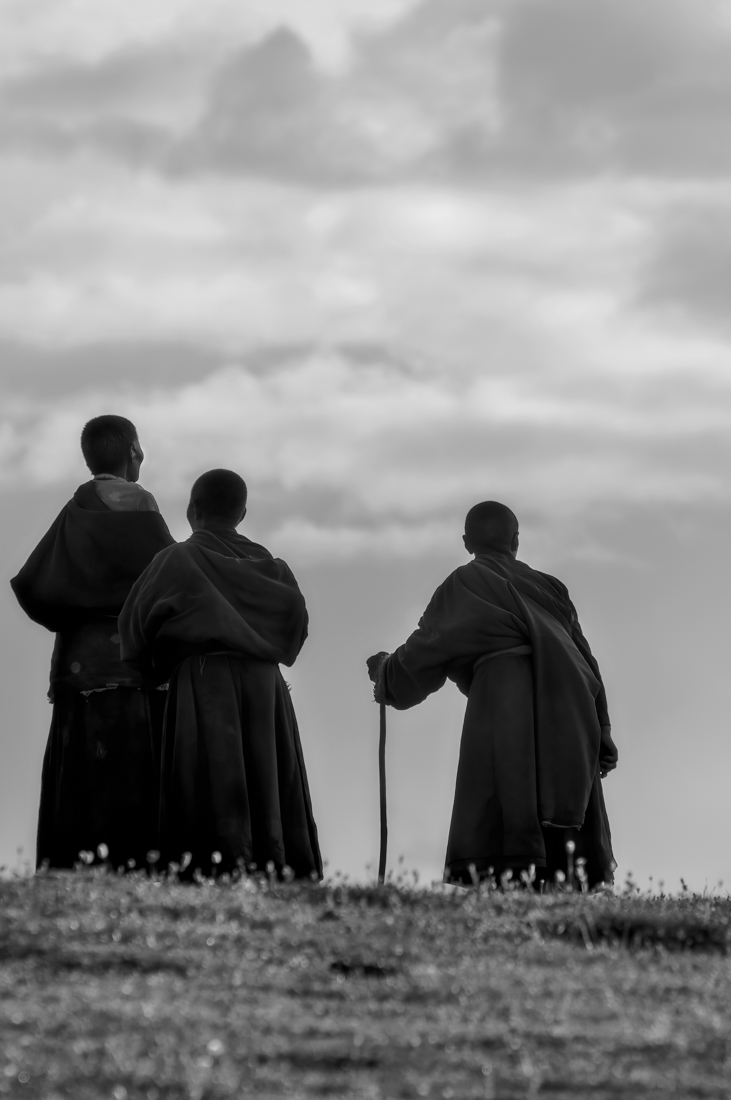 Nuns on the Tibetan grassland