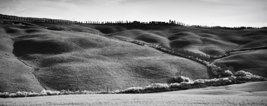 Tuscany Lights