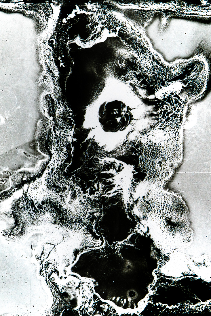Parasite