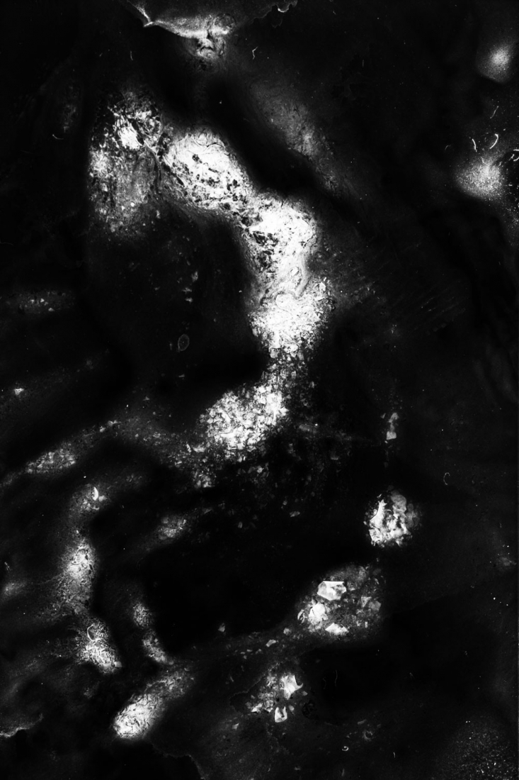 Parasite