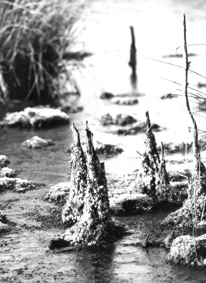 Death of peatlands