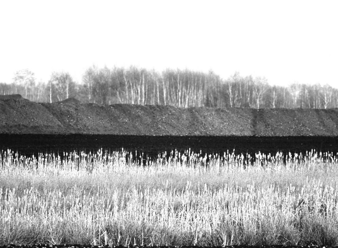 Death of peatlands