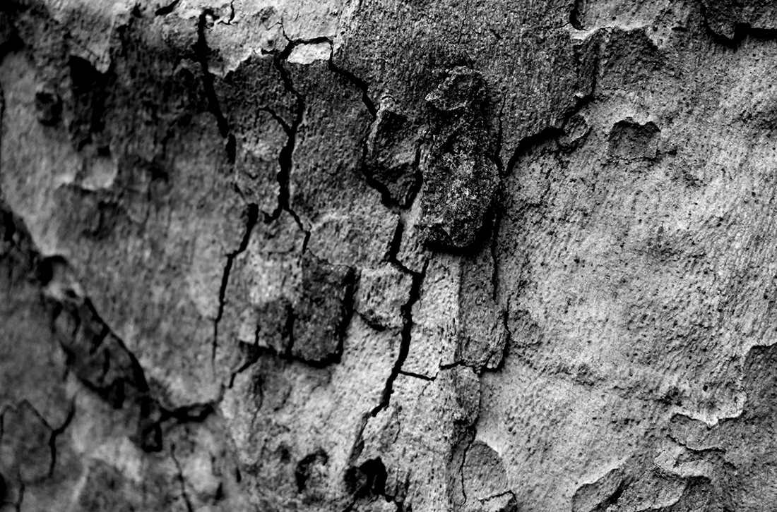 Natural textures